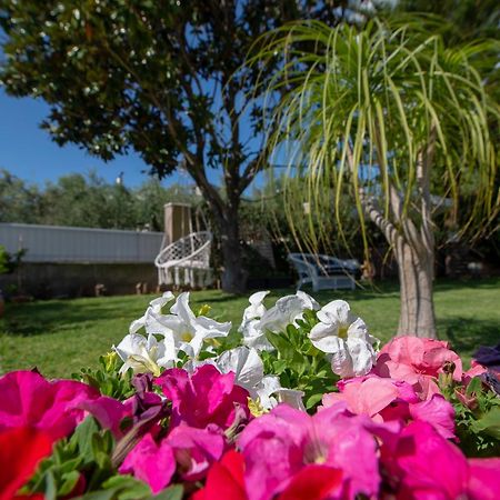 Appartement le jardin à Kalamata Extérieur photo