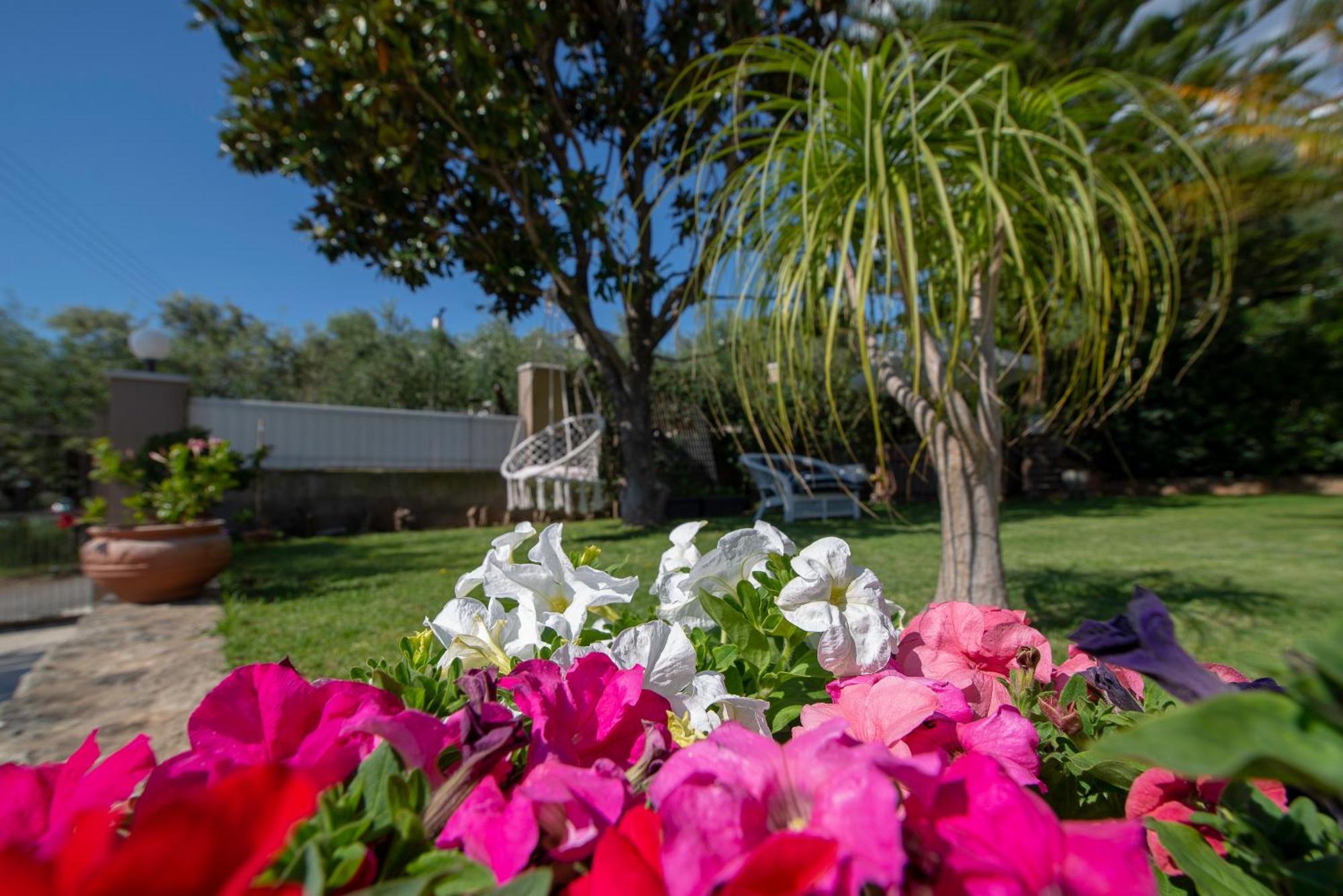 Appartement le jardin à Kalamata Extérieur photo